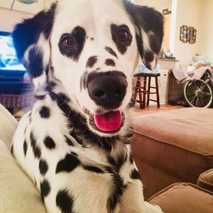 If you love it get it!!♥️♥️